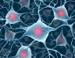 Neurologia