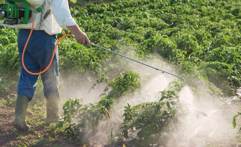 Webinar sobre “Ecología Médica – La relación hombre – ambiente”
