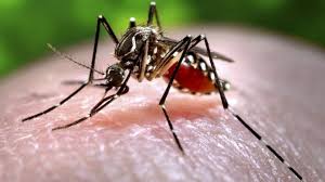 Información sobre el virus del Zika para viajeros