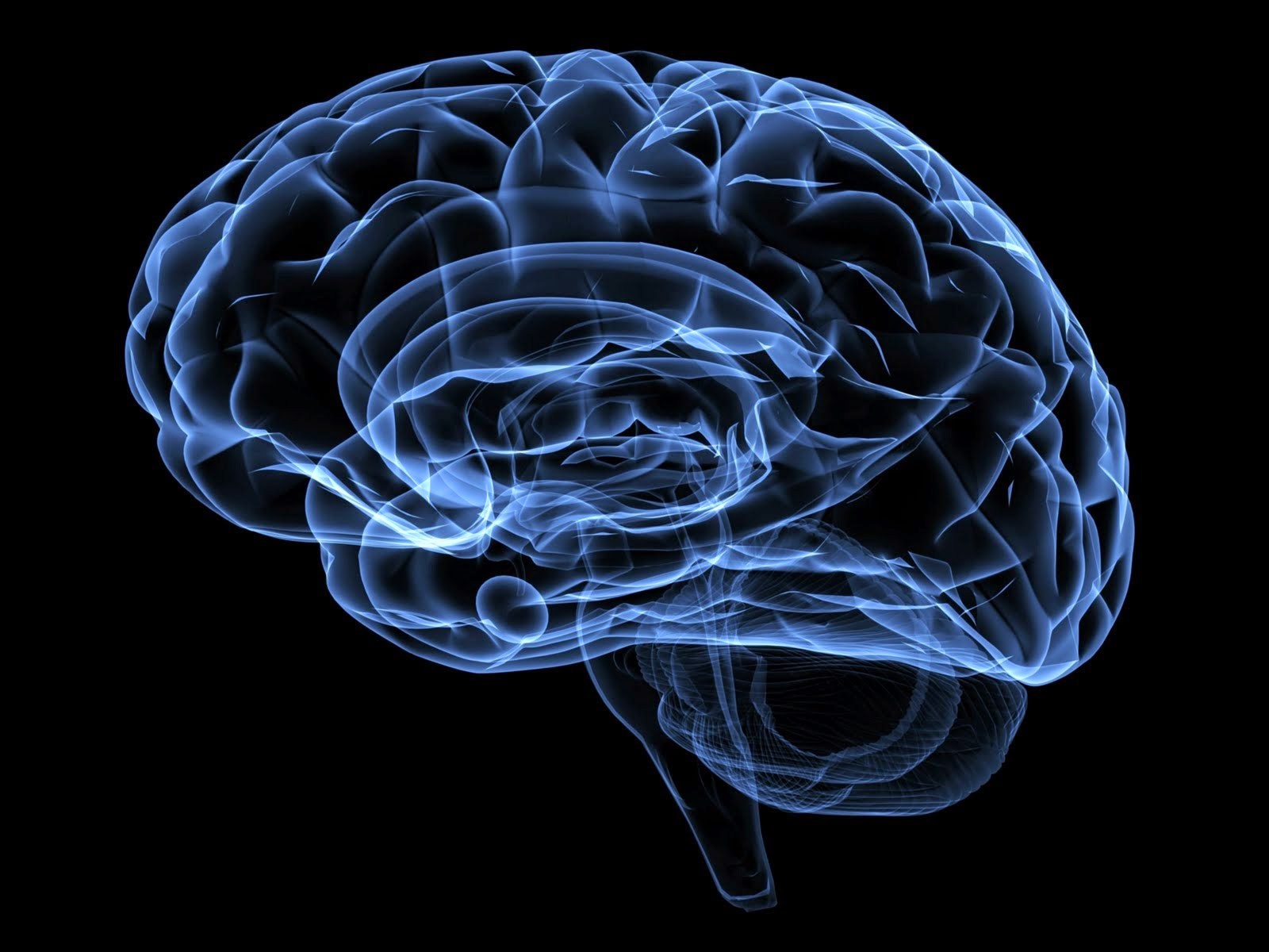 Curso de Urgencias en Neurología – Nuevas fechas