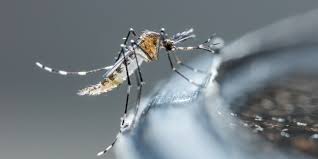 Webinario – Dengue como Síndrome febril inespecífico en tiempos de COVID
