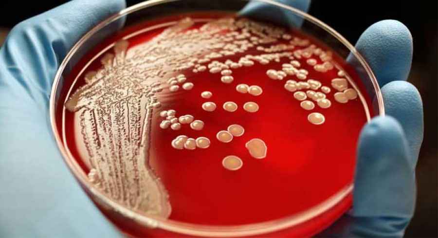 Club del Estafilo – Conferencias de Infectología – 27 de octubre