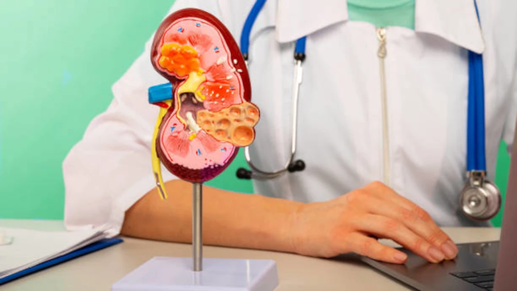 🩺🫘 Webinar IMPERDIBLE | Comienza el Ciclo de Webinars 2026 “Detección temprana, prevención y abordaje de la Enfermedad Renal Crónica” | lunes 9 de marzo