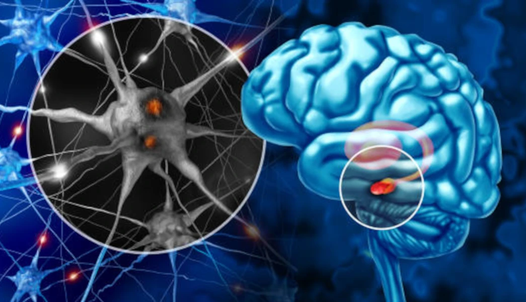 🩺 Webinario “Neuroplasticidad y cirugía laparoscópica: cómo entrenar el cerebro del cirujano del futuro” |Lunes 4 de mayo